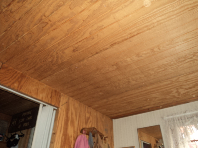 Plywood For Interior Paneling Or Other Cheap Options