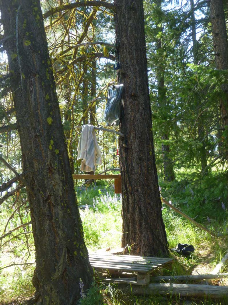 Sun shower on a pulley in the woods