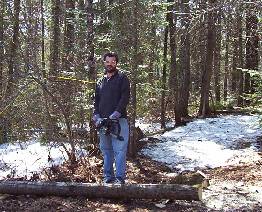 Clearing Cabin Site with Chainsaw Picture