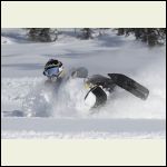 Winter fun
