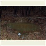 water hole i made for the wildlife is full!!! water hole i made for the wildlife is full!!!
