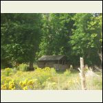 sad little cabin, Nine-mile canyon, Utah