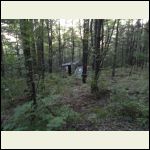 My Folks' Cabin and the VW