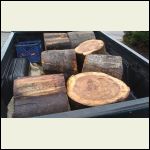 wood.JPG wood.JPG