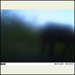 fogged lense cam fogged lense cam