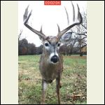 Buck. Cahokia Mounds