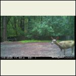 IMG_7290.jpeg