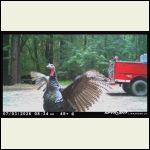 IMG_7361.jpeg