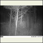 mystery #1 mystery #1