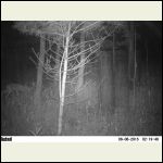 mystery #2 mystery #2