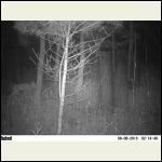 mystery #3 mystery #3