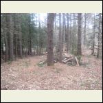 Pre-Clearing Pre-Clearing