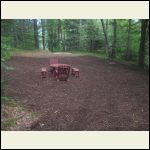 Landing looking toward the driveway- wood chips done!