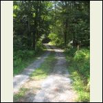 Looking Up driveway