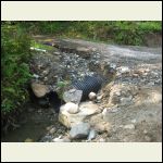 Driveway erosion