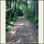 Looking up Driveway  from the Street