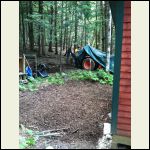 Mulch Behind Cabin