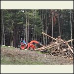 downed limbs to the burn pile