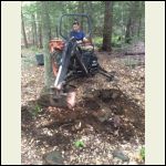 pulling a stump