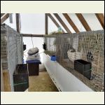 Greenhouse/ winter home Greenhouse/ winter home