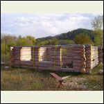 Log Walls Before Hauling North