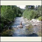 A good shot of "our" creek.  We have 450' of frontage here. Cabin is up the hill to the left