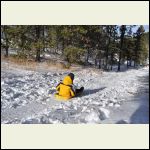 Sledding!