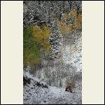 Fall colors (and family checking out the water pump)