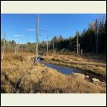 Creek on the property