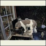 IMG_2275.jpeg IMG_2275.jpeg