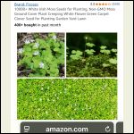 IMG_4973.jpeg