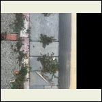 IMG_4993.jpeg IMG_4993.jpeg