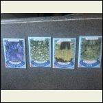IMG_4997.jpeg
