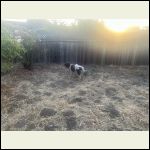 IMG_5063.jpeg