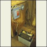 fusebox w/wiring