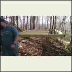 floor joists floor joists