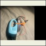 IMG_5311.jpeg
