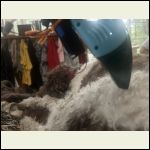 IMG_5312.jpeg
