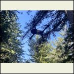 IMG_6665.jpeg IMG_6665.jpeg