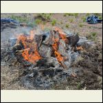 Burn