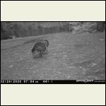 IMG_4413.jpeg
