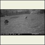 IMG_4412.jpeg