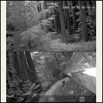 IMG_4446.jpeg