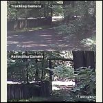 IMG_4495.jpeg