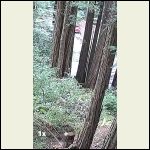 IMG_4821.jpeg IMG_4821.jpeg