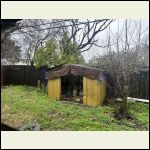 IMG_4359.jpeg