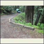 IMG_4720.jpeg
