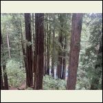 IMG_4719.jpeg