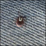 IMG_7143.jpeg