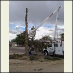 dismantling dismantling